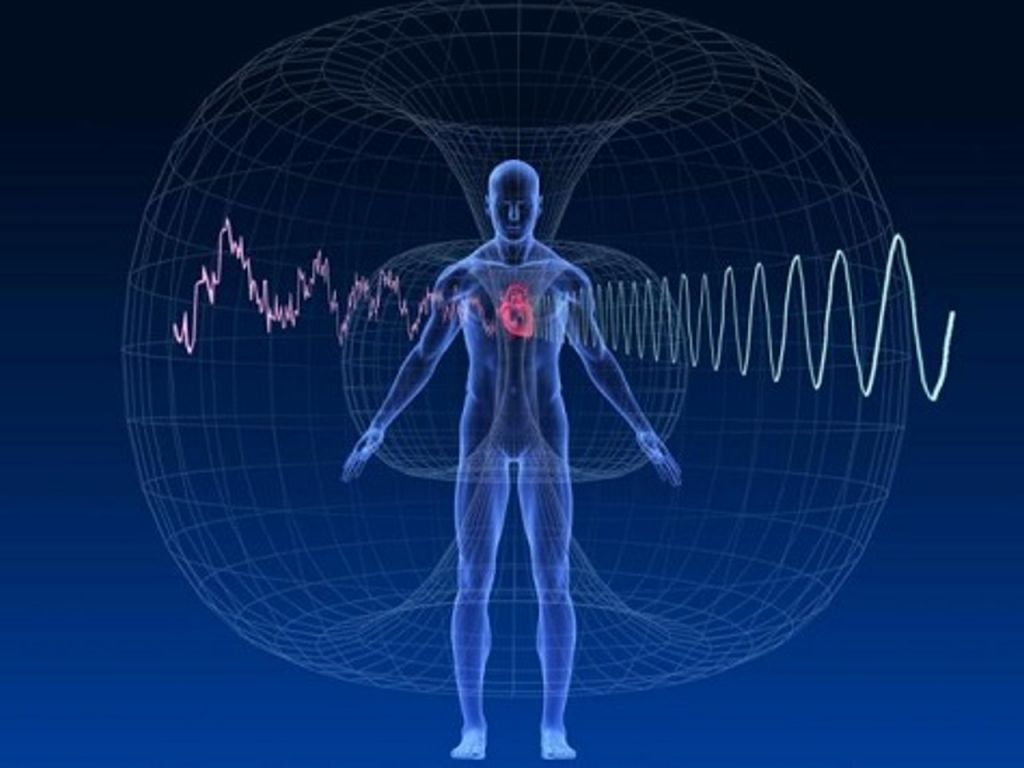 Можно ли почувствовать магнитное поле?