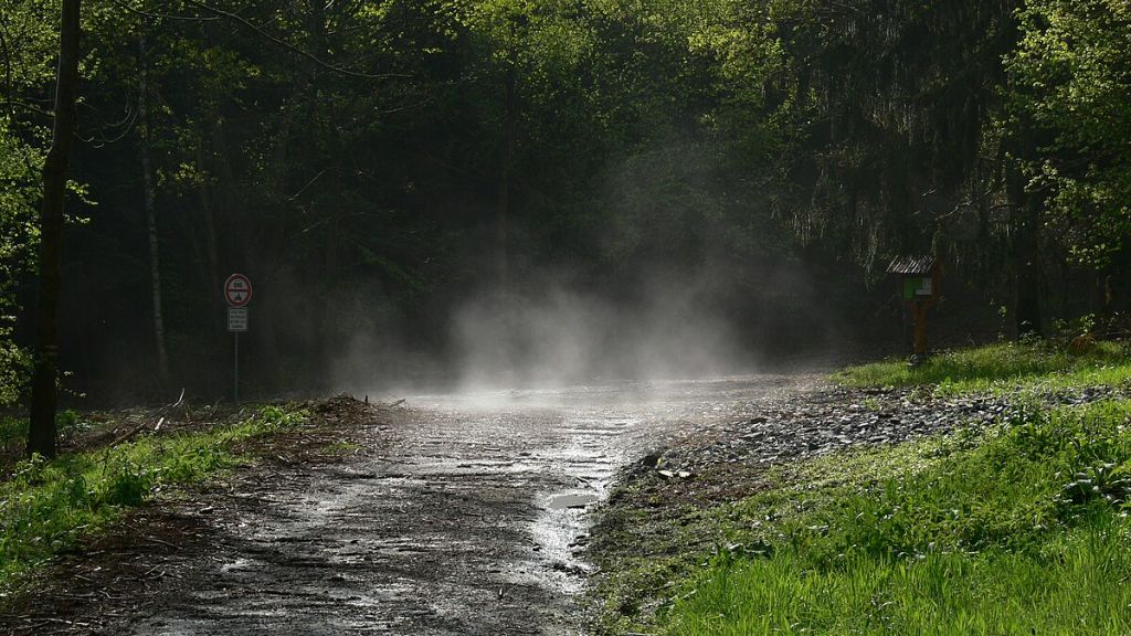 Что такое петрикор и откуда он берется?