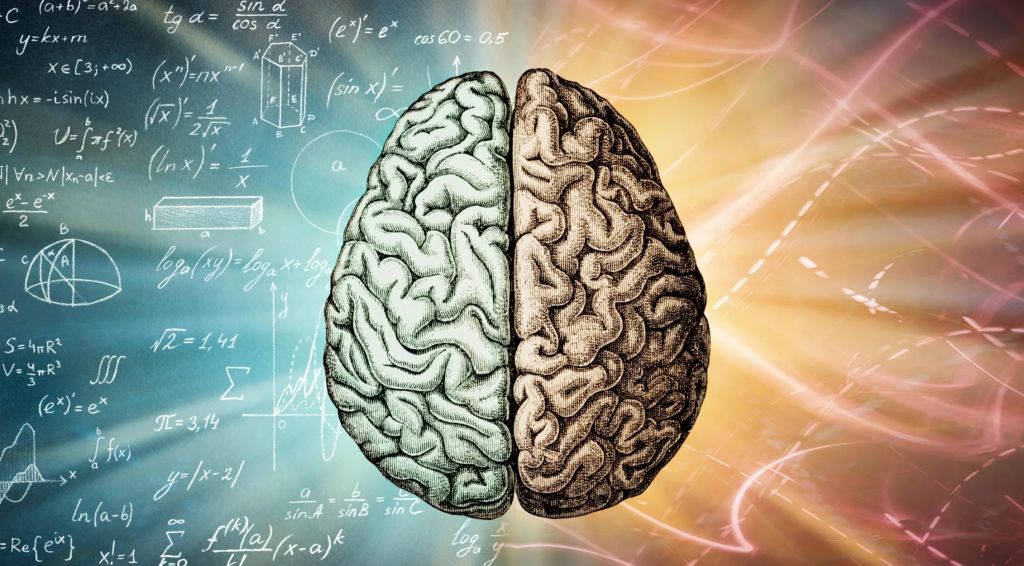 Какой объем памяти у человеческого мозга и может ли она закончиться?