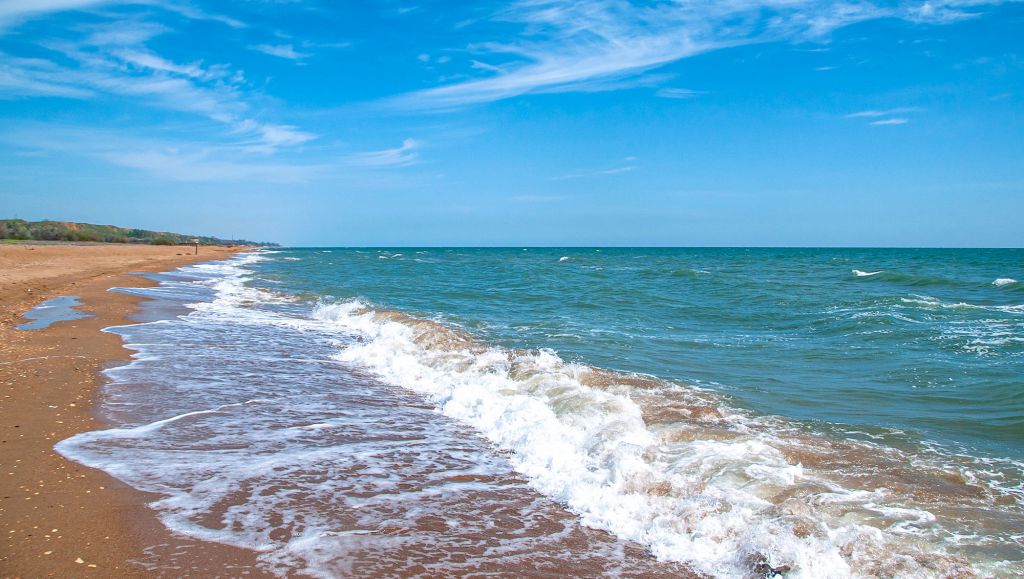Почему соленая вода не утоляет жажду?